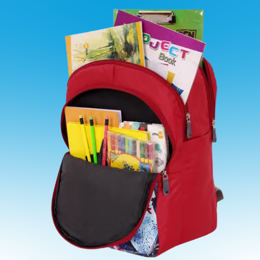 Kids Spider-Man School Backpack with Bottle Pocket – BLUE & RED